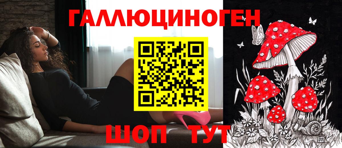 Галлюциногенные грибы прущие грибы Каменка