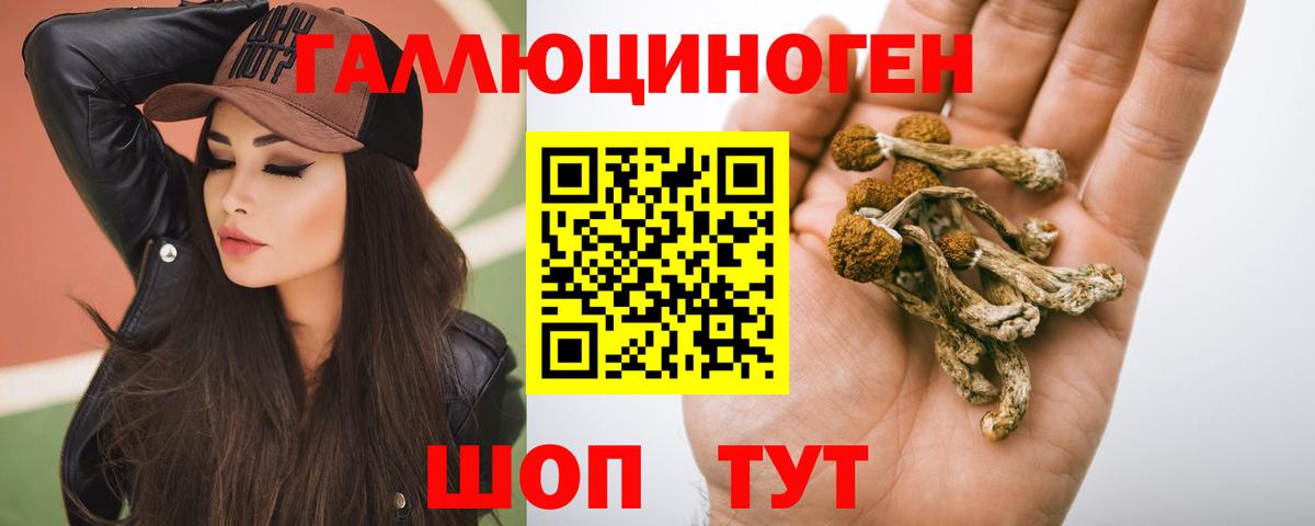 Псилоцибиновые грибы Psilocybine cubensis  Вход с VPN  Каменка 